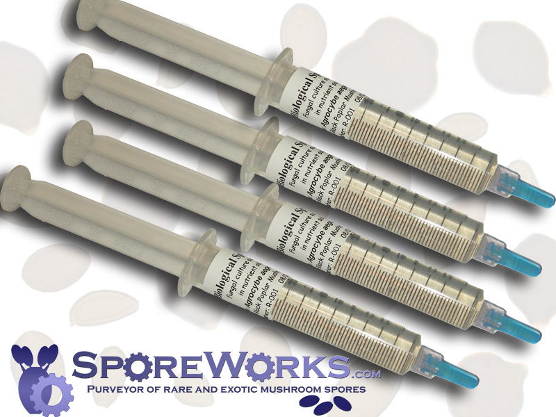 Psilocybe cubensis : 100 Pack Spore Syringe Mix and Match Pack Wholesale Bulk