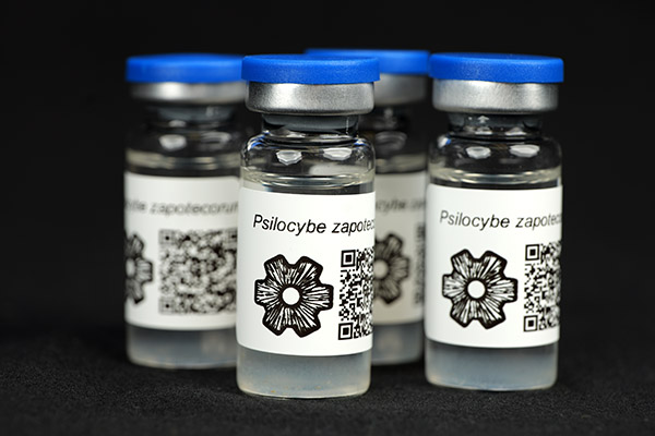 MycoTrue(TM) Isolate Vials MycoTrue(TM) Isolate Vials