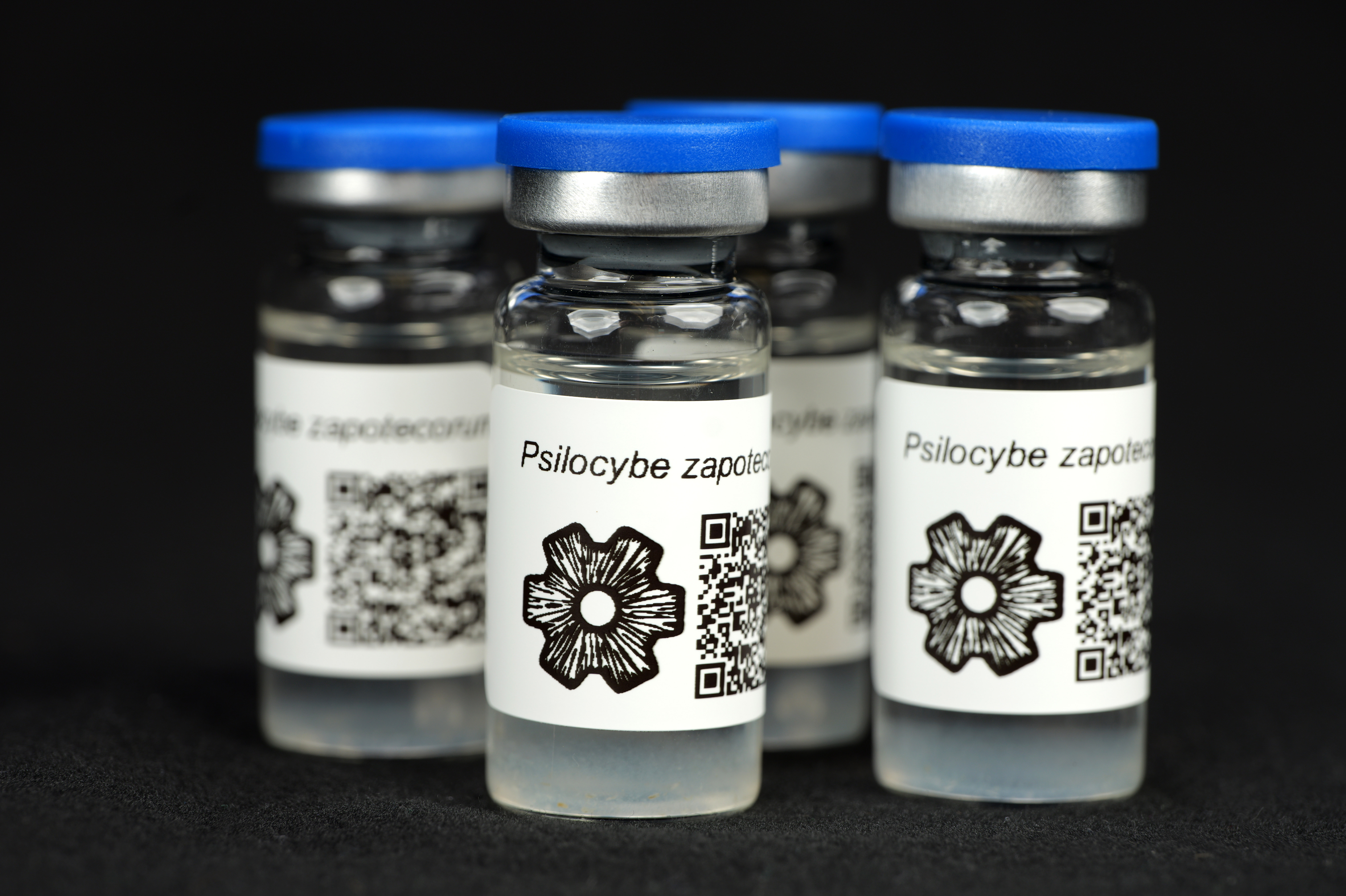 MycoTrue(TM) Isolate Vial : Psilocybe zapotecorum