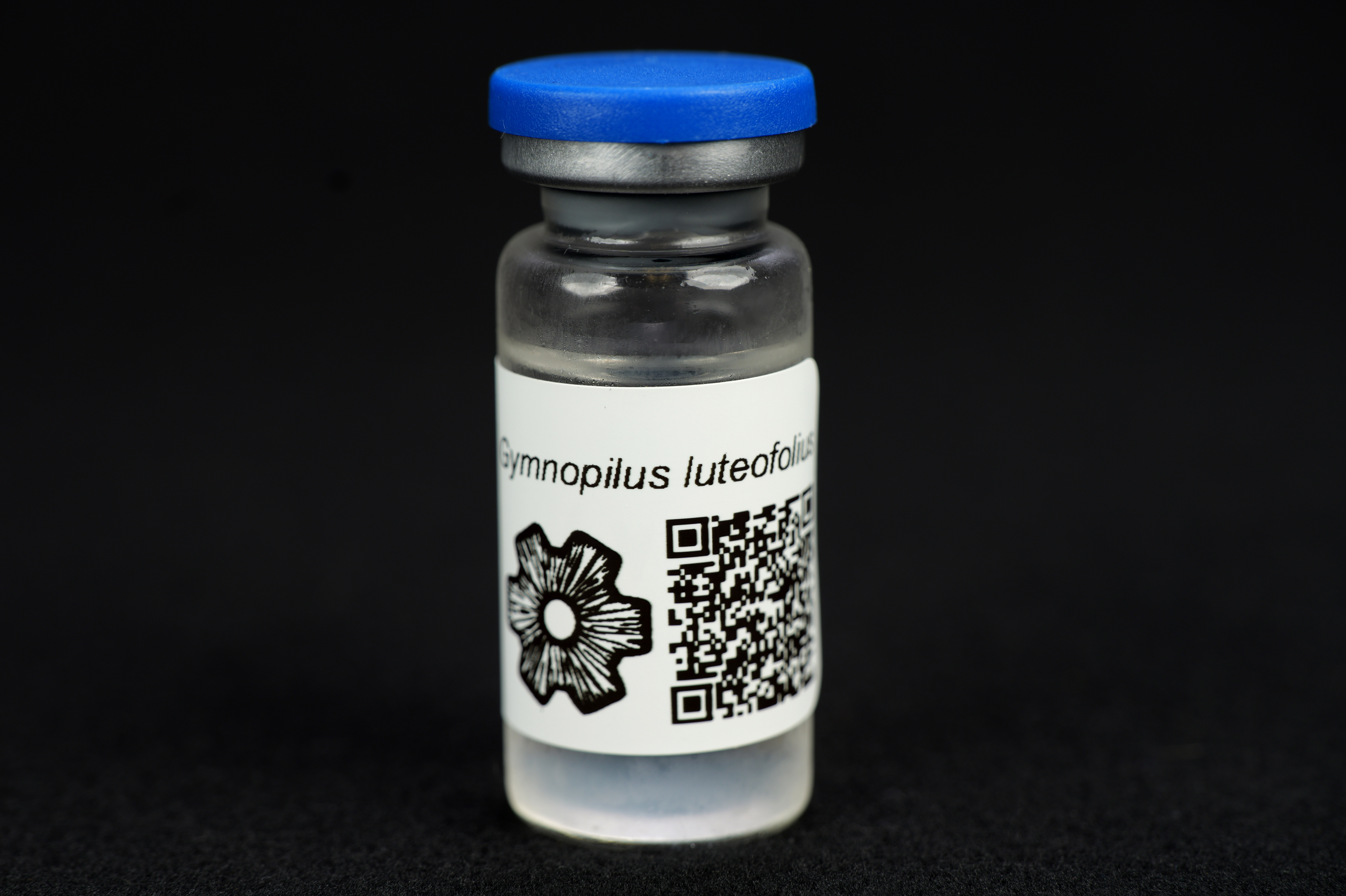 Gymnopilus luteofolius : MycoTrue(TM) Isolate Vial