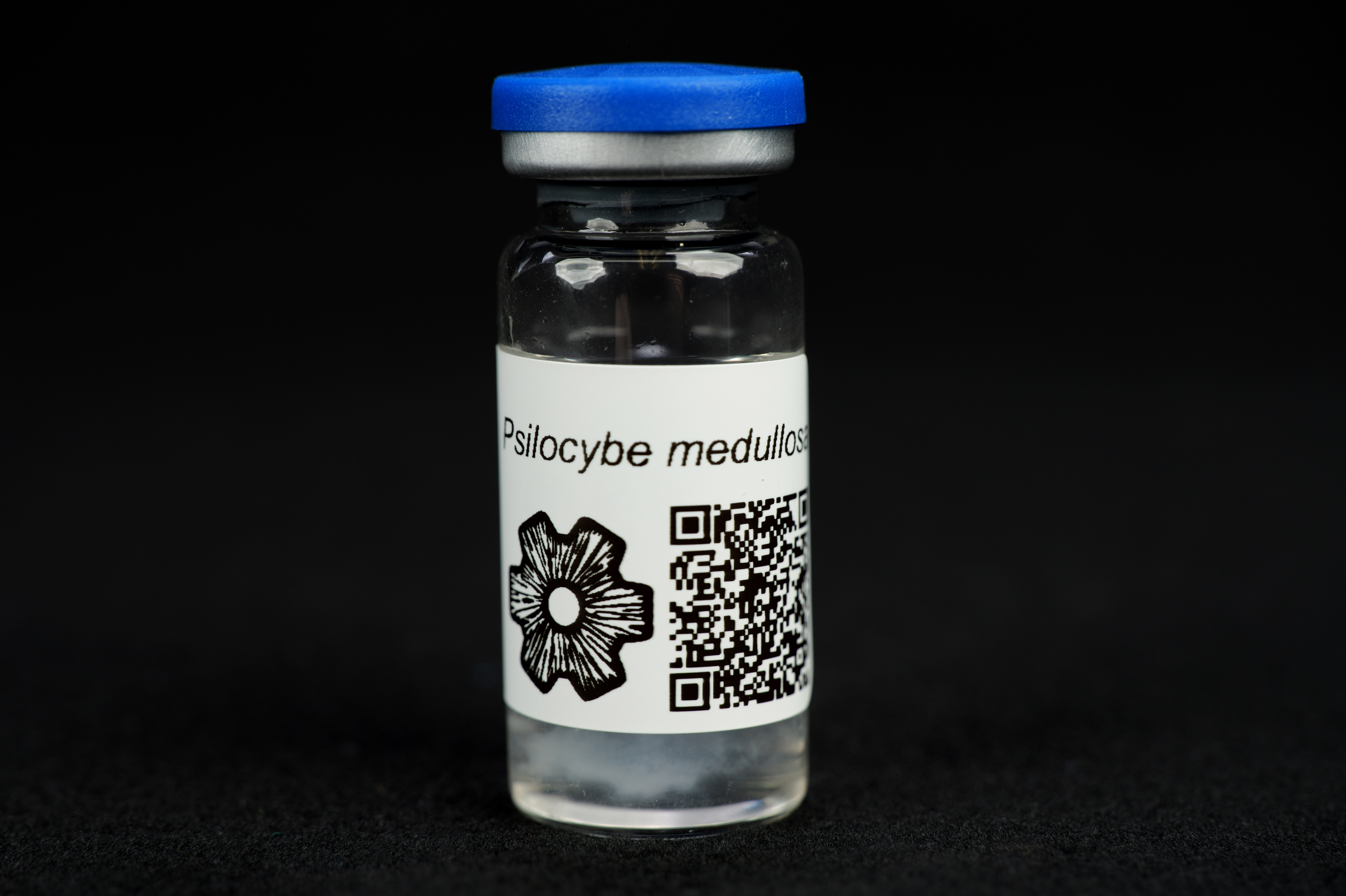 Psilocybe medullosa : MycoTrue(TM) Isolate Vial