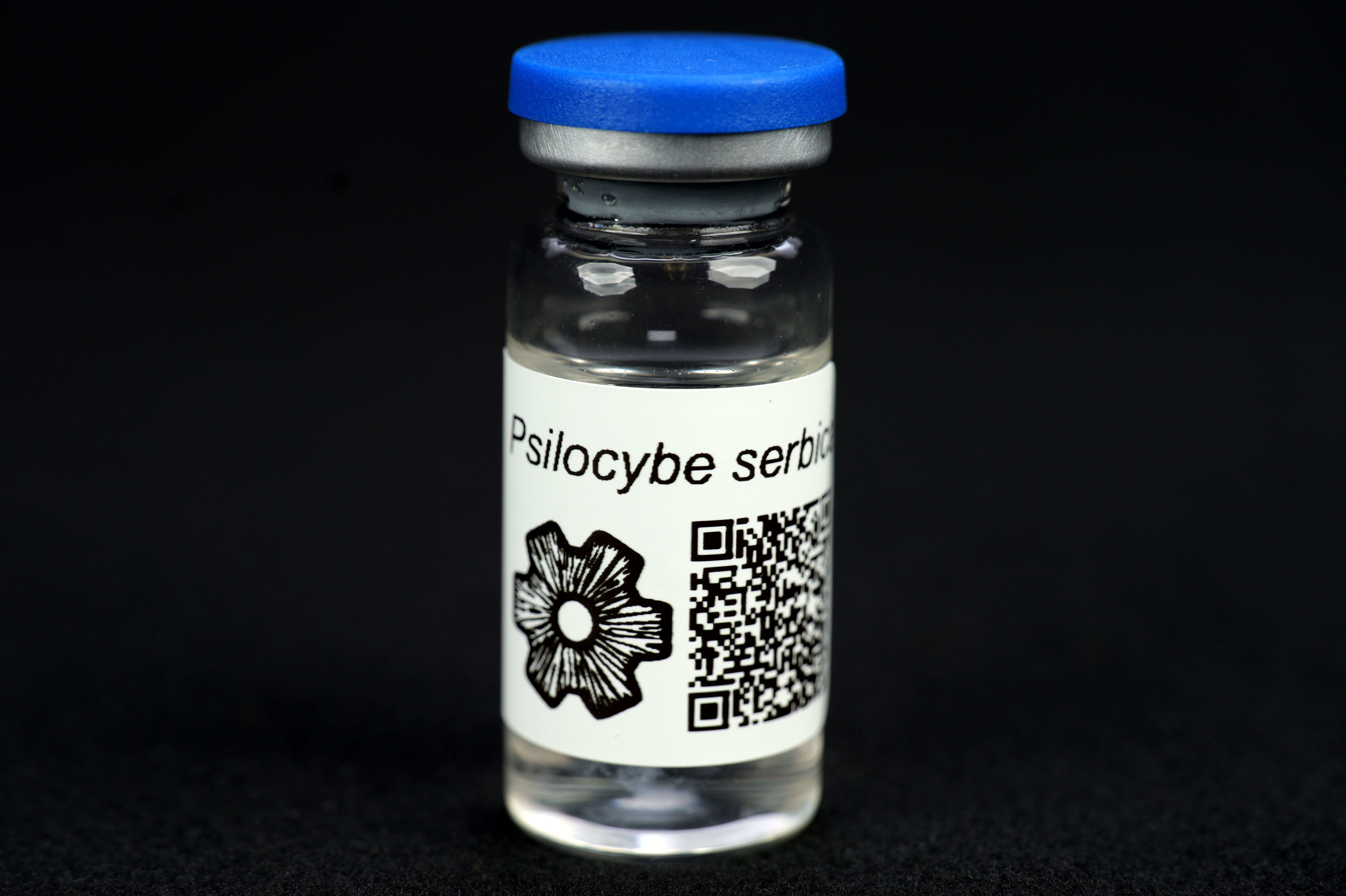 Psilocybe serbica : MycoTrue(TM) Isolate Vial
