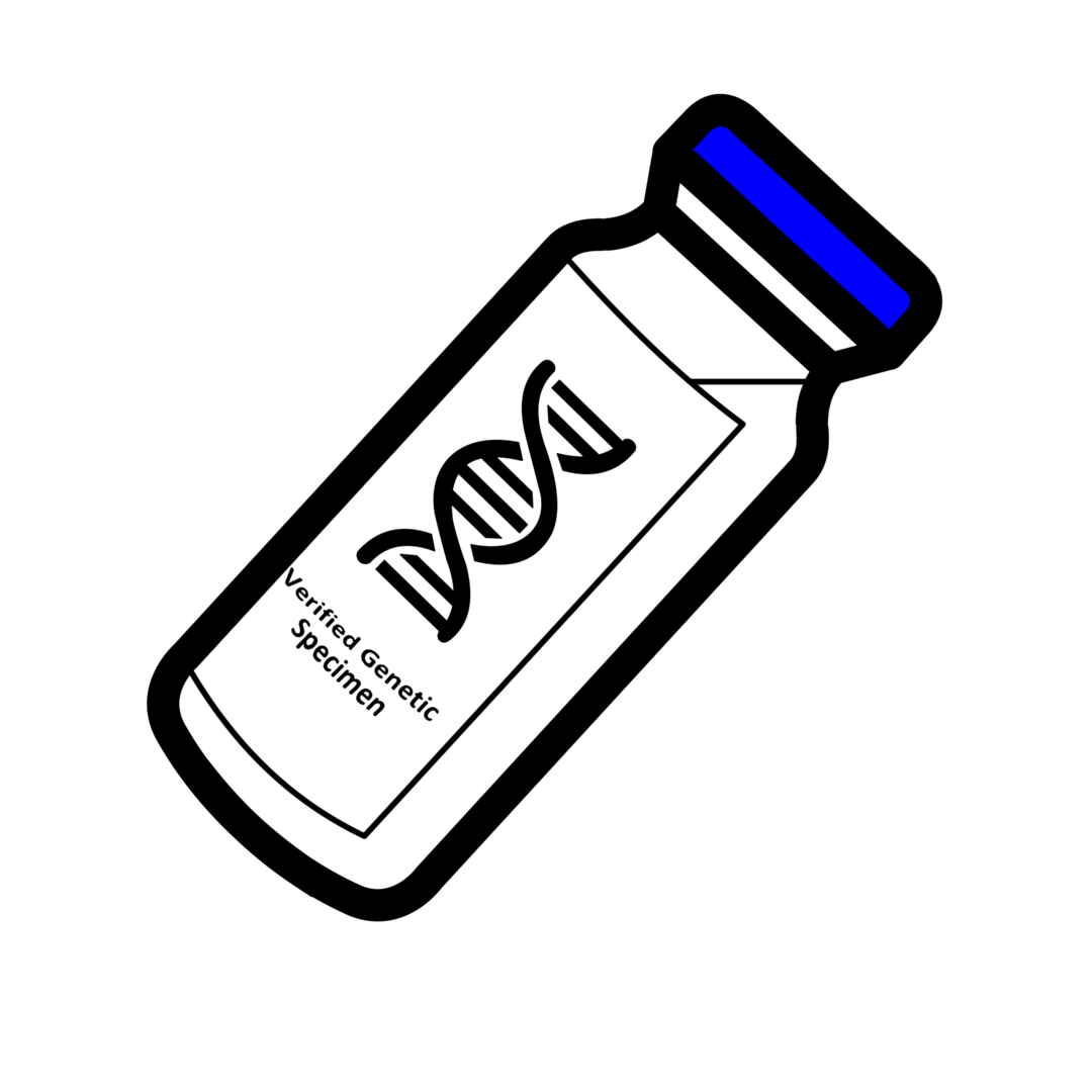 Psilocybe ingeli : MycoTrue(TM) Isolate Vial