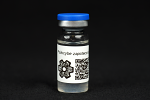 Psilocybe zapotecorum : MycoTrue(TM) Isolate Vial Psilocybe zapotecorum : MycoTrue(TM) Isolate Vial
