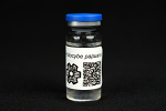 Psilocybe papuana : MycoTrue(TM) Isolate Vial