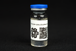 Psilocybe pseudoaztecorum : MycoTrue(TM) Isolate Vial Psilocybe pseudoaztecorum : MycoTrue(TM) Isolate Vial