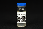 P. cf. antioquiensis (P. angkoria sp. nov.) : MycoTrue(TM) Isolate Vial P. cf. antioquiensis (P. angkoria sp. nov.) : MycoTrue(TM) Isolate Vial