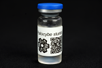 Psilocybe tasmaniana : MycoTrue(TM) Isolate Vial