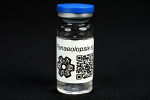 Panaeolopsis sp. : MycoTrue(TM) Isolate Vial