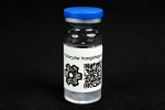 Psilocybe hoogshagenii : MycoTrue(TM) Isolate Vial Psilocybe hoogshagenii : MycoTrue(TM) Isolate Vial