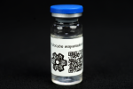 Psilocybe wayanadensis : MycoTrue(TM) Isolate Vial Psilocybe wayanadensis : MycoTrue(TM) Isolate Vial