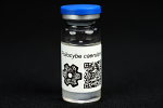 Psilocybe caerulipes : MycoTrue(TM) Isolate Vial