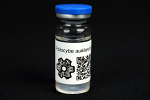 Psilocybe auklandiae : MycoTrue(TM) Isolate Vial Psilocybe auklandiae : MycoTrue(TM) Isolate Vial