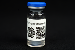 Psilocybe natalensis : MycoTrue(TM) Isolate Vial