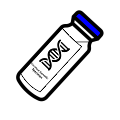 Psilocybe natalensis : MycoTrue(TM) Isolate Vial Psilocybe natalensis : MycoTrue(TM) Isolate Vial