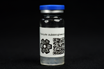 Psilocybe subaeruginascens : MycoTrue(TM) Isolate Vial