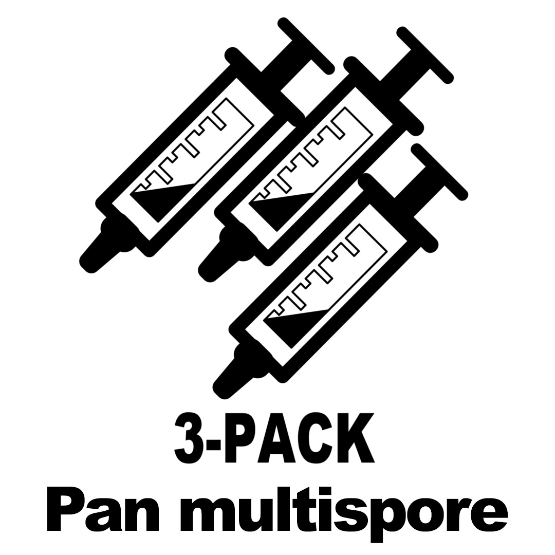 3-Pack Spore Syringe - Pan cyan Aussie, TTBVI, Pan bisporus (MS)