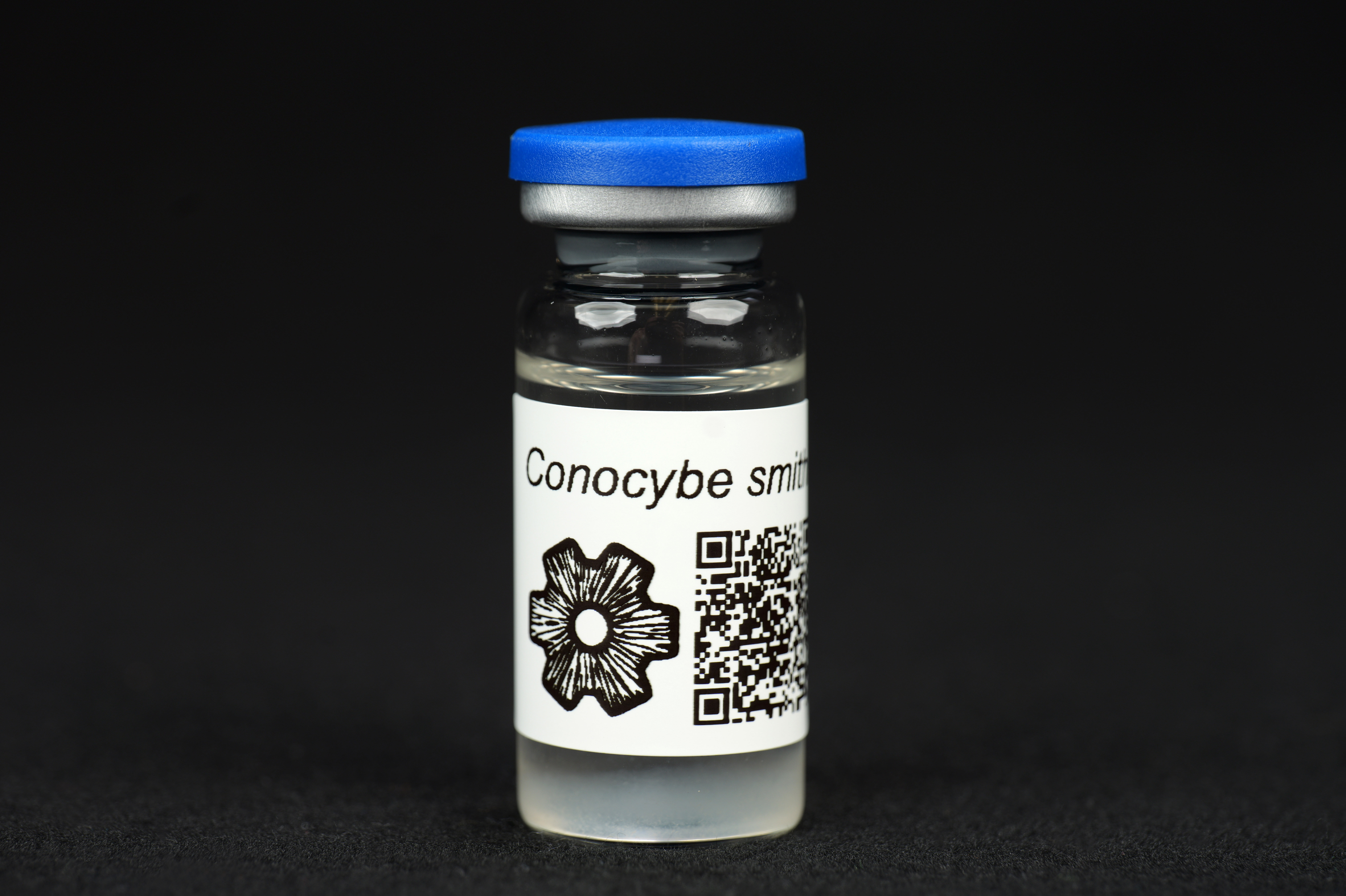 Conocybula smithii : MycoTrue(TM) Isolate Vial