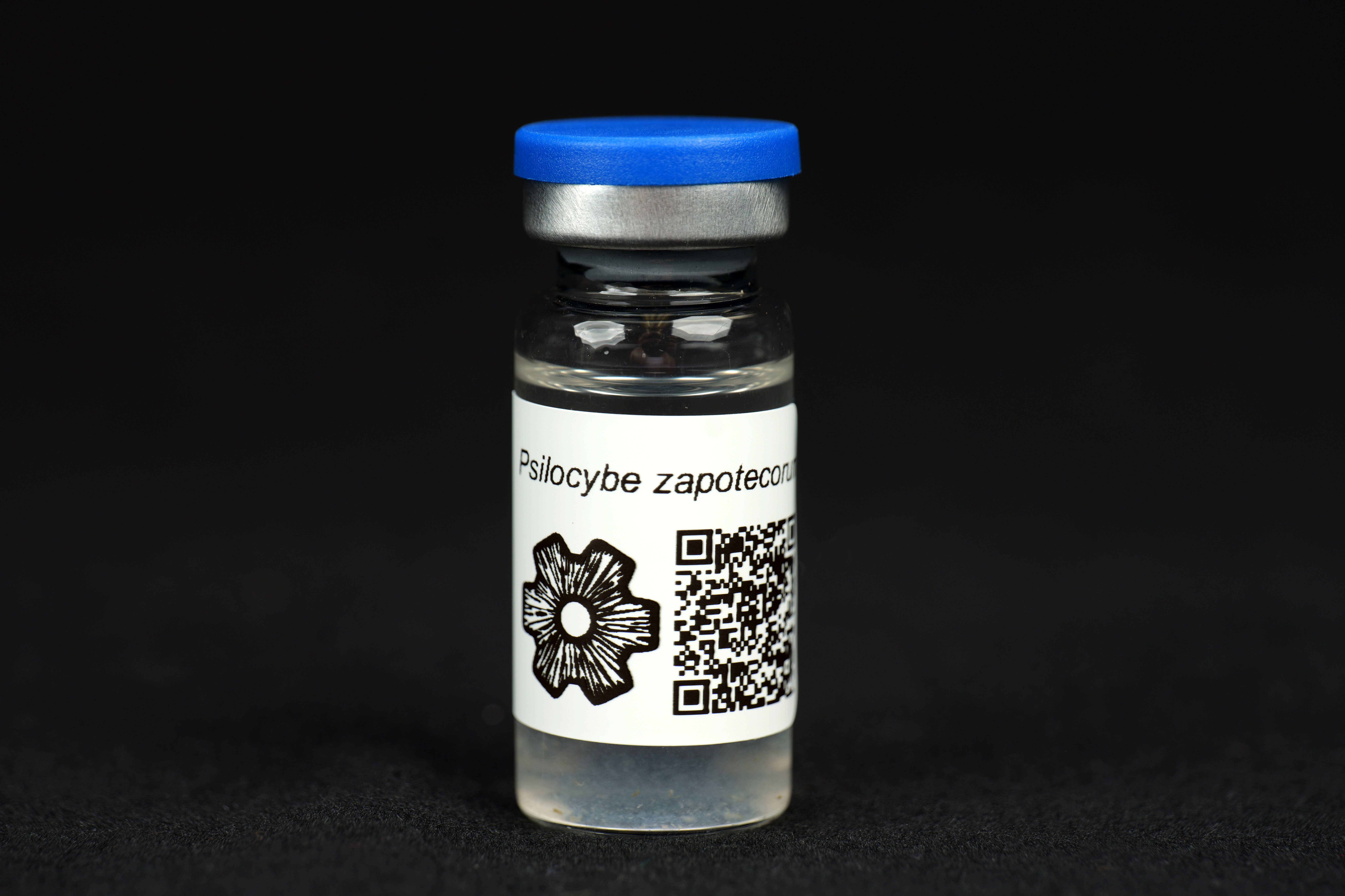 Psilocybe zapotecorum : MycoTrue(TM) Isolate Vial