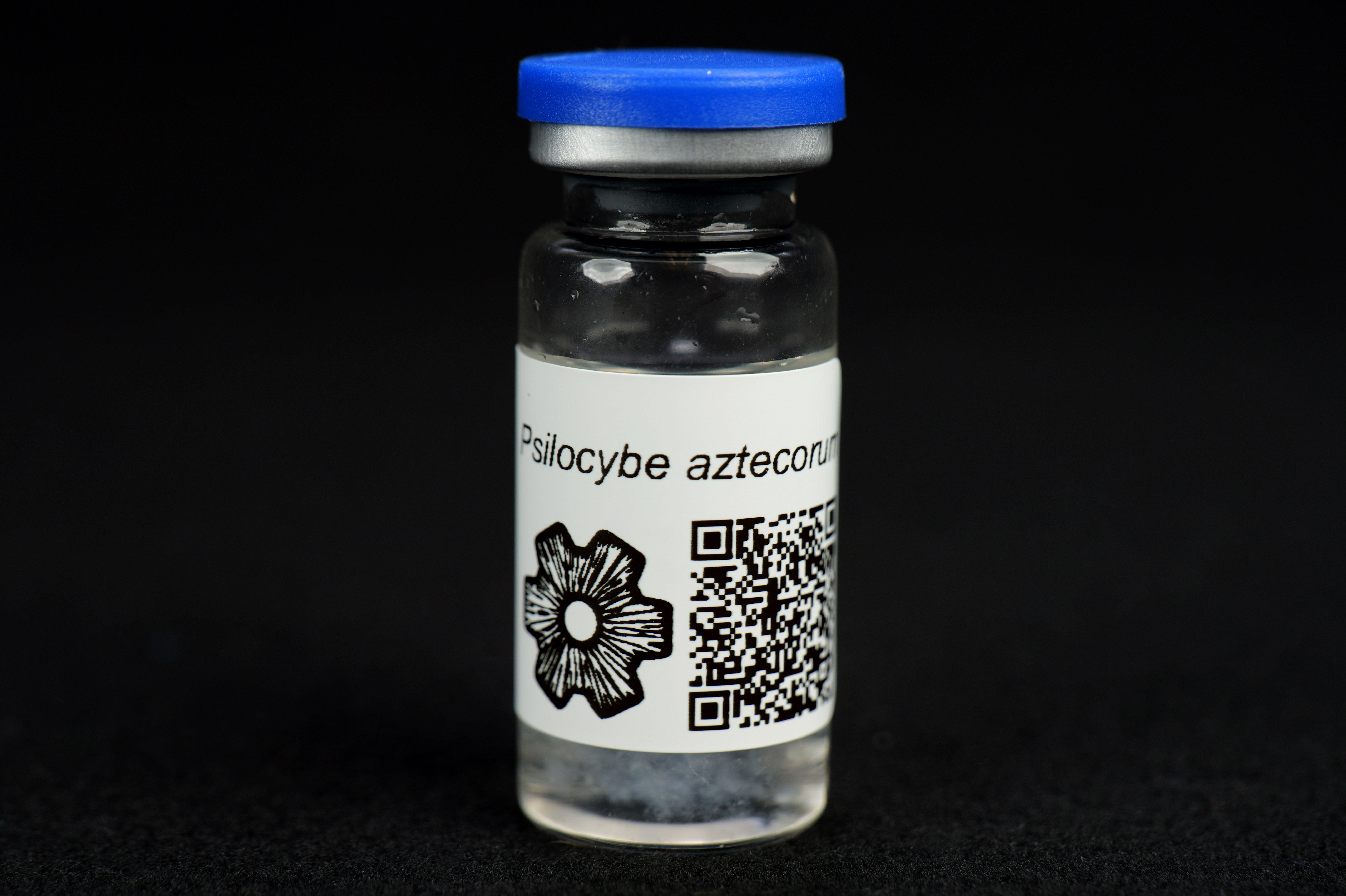Psilocybe aztecorum : MycoTrue(TM) Isolate Vial