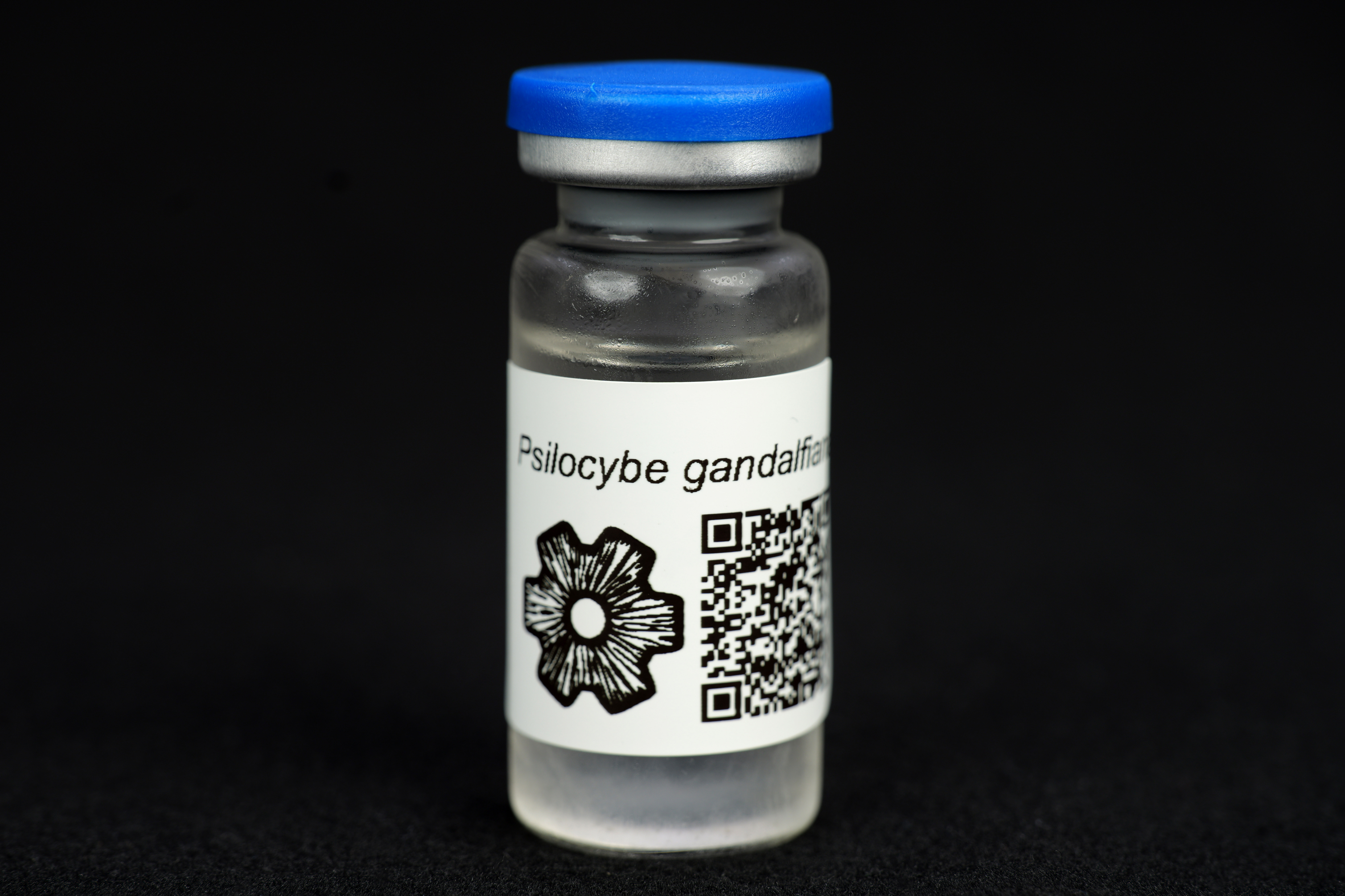 Psilocybe gandalfiana nom. prov. : MycoTrue(TM) Isolate Vial