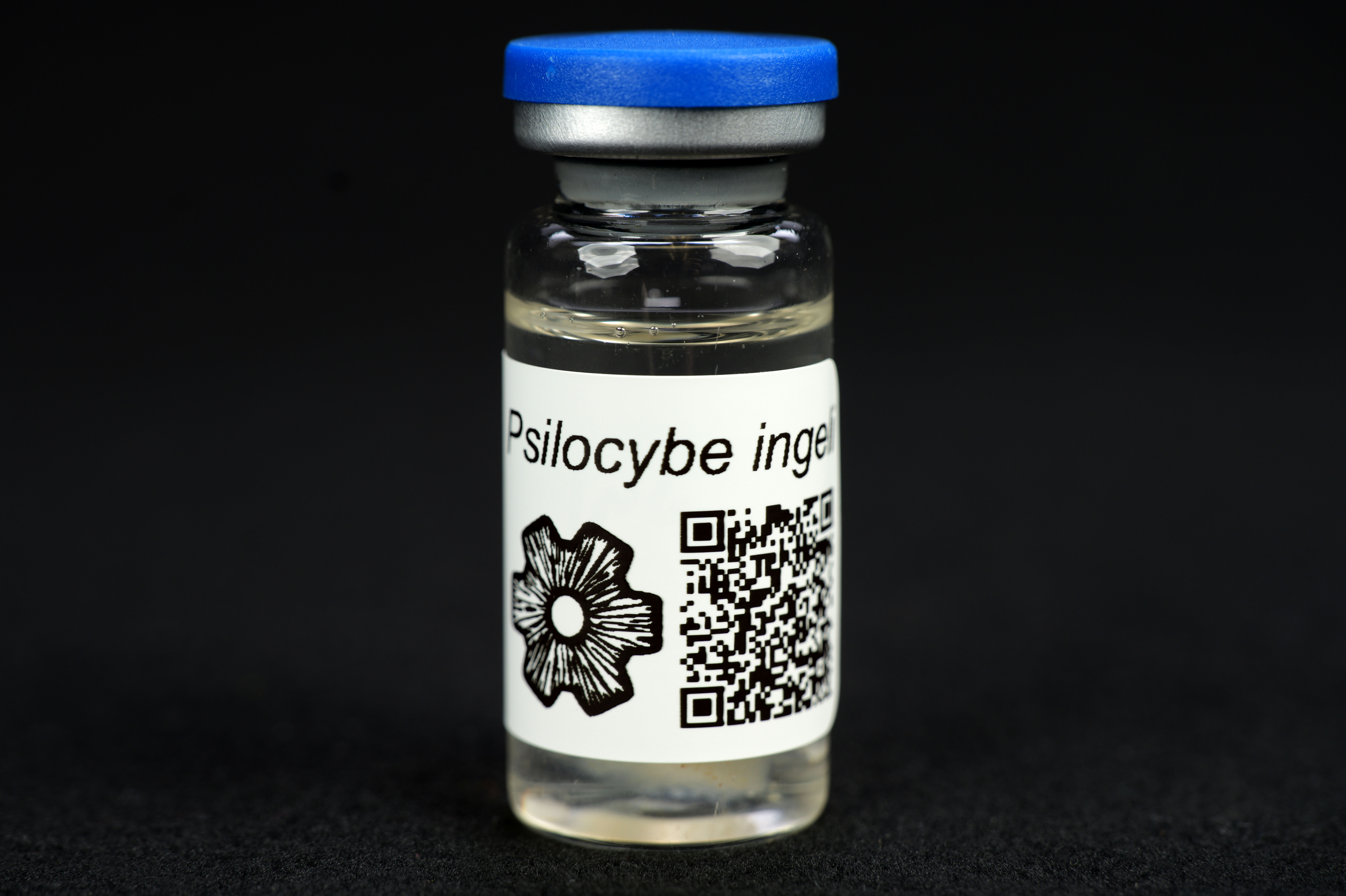 Psilocybe ingeli : MycoTrue(TM) Isolate Vial