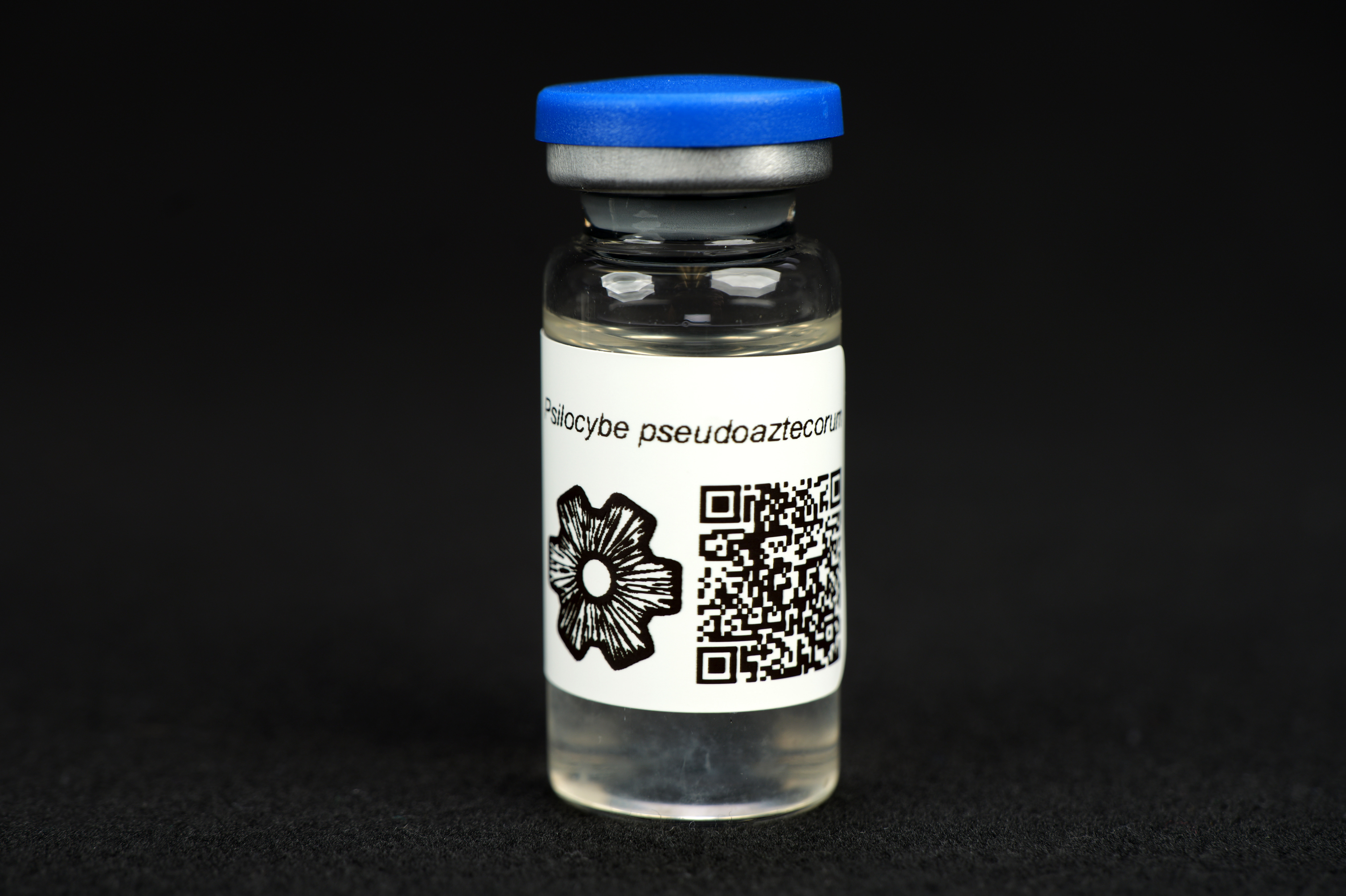 Psilocybe pseudoaztecorum : MycoTrue(TM) Isolate Vial