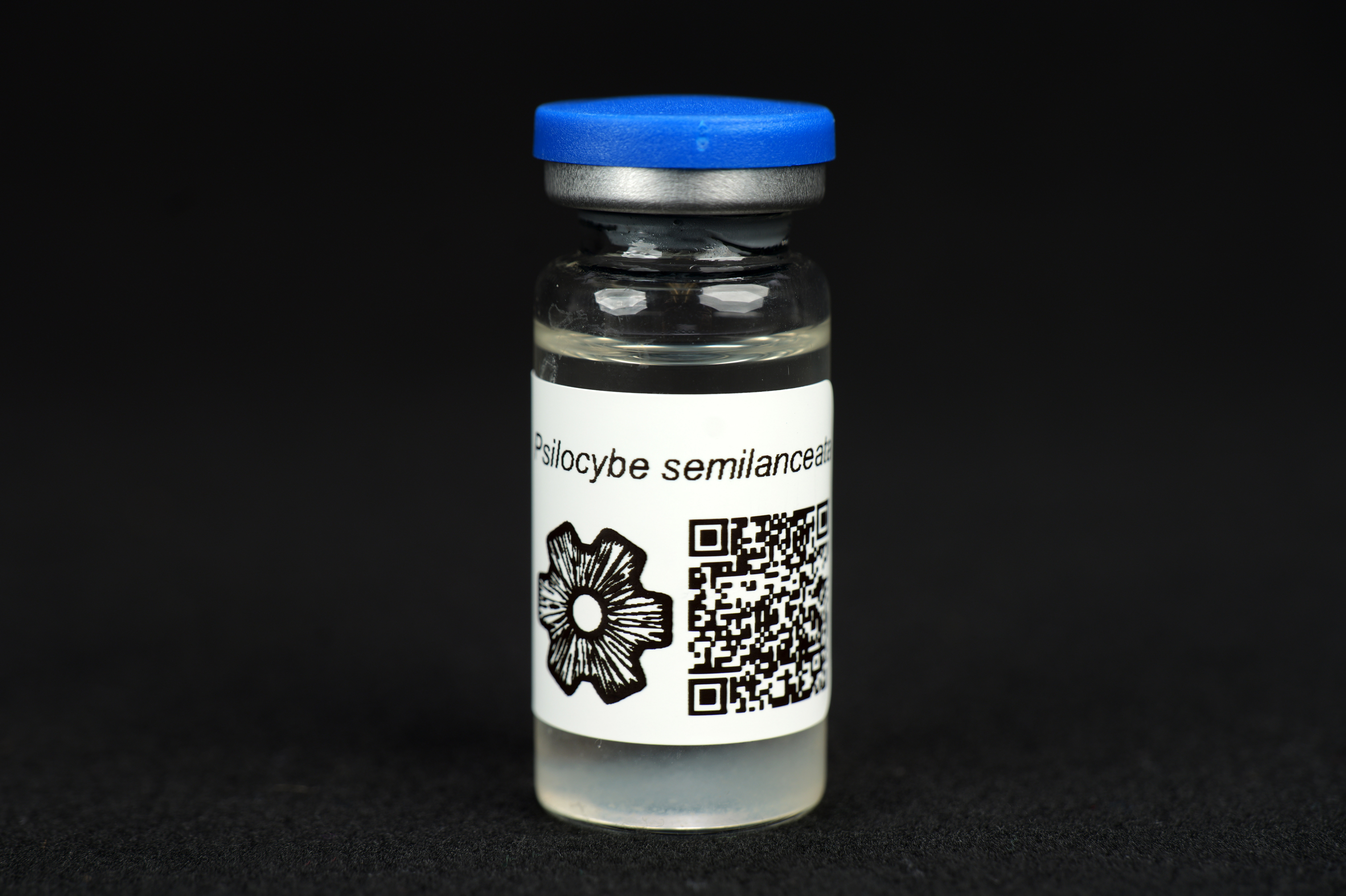 Psilocybe semilanceata : MycoTrue(TM) Isolate Vial Psilocybe semilanceata : MycoTrue(TM) Isolate Vial
