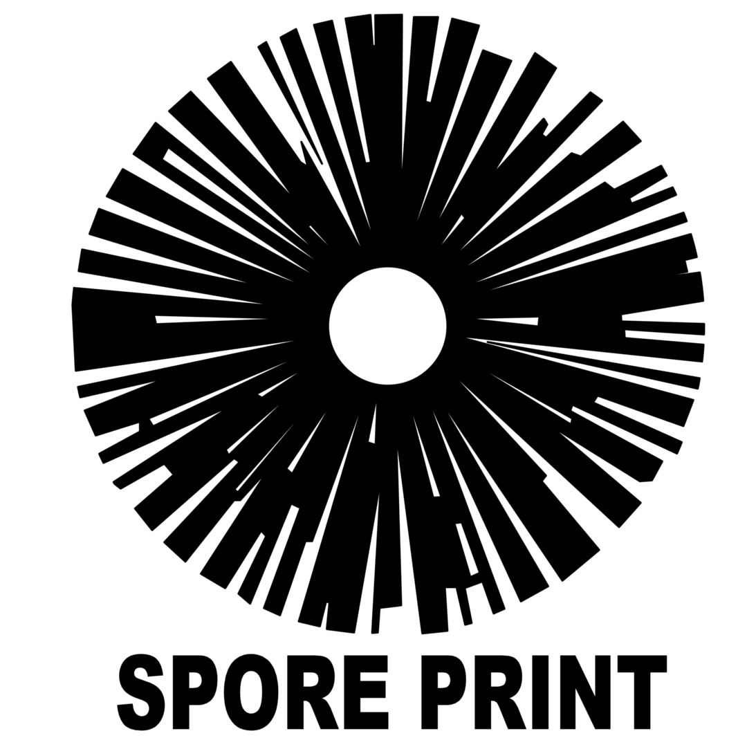 Psilocybe cubensis : Purple Mystic Spore Print Psilocybe cubensis : Purple Mystic Spore Print